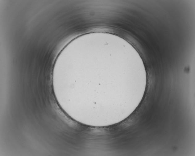 X0000112480852200909281107