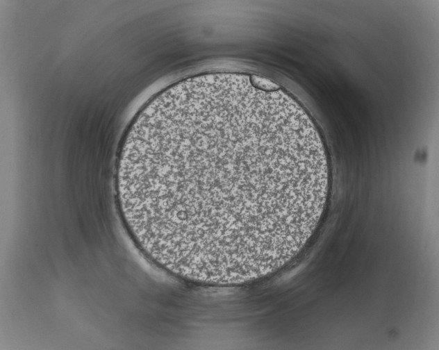 X0000112480853200909281107