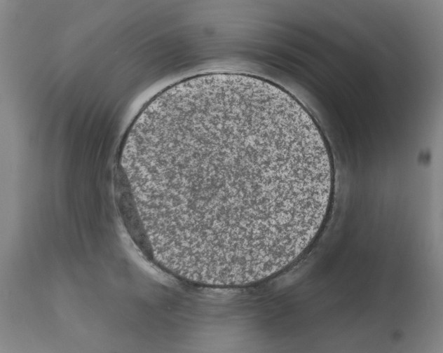 X0000112480854200909281107