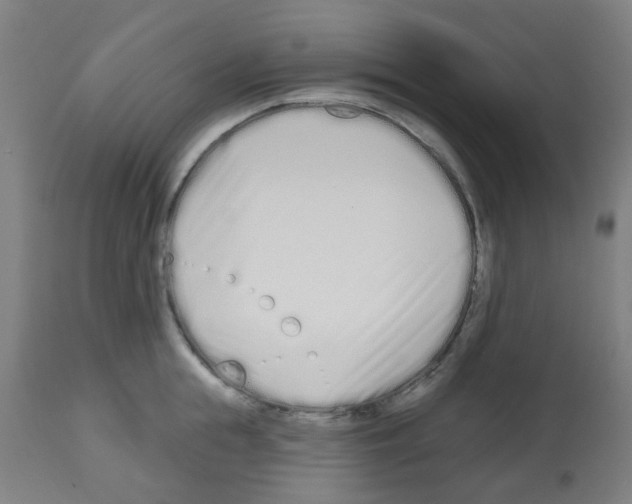 X0000112480855200909281107