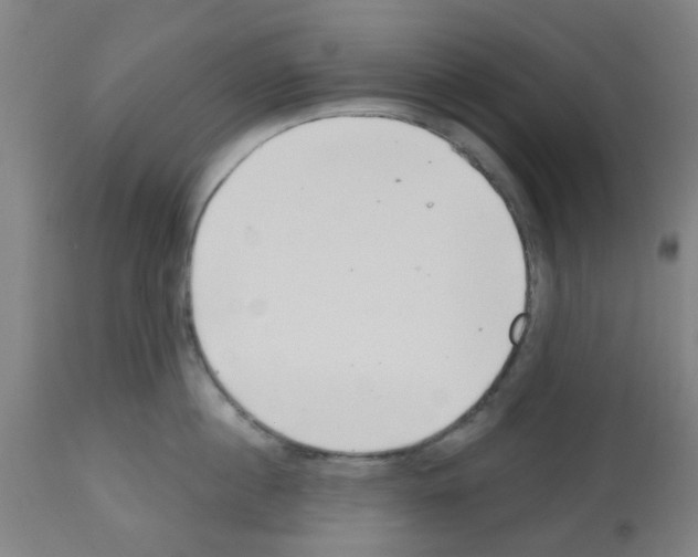 X0000112480860200909281107