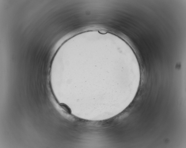 X0000112480861200909281107