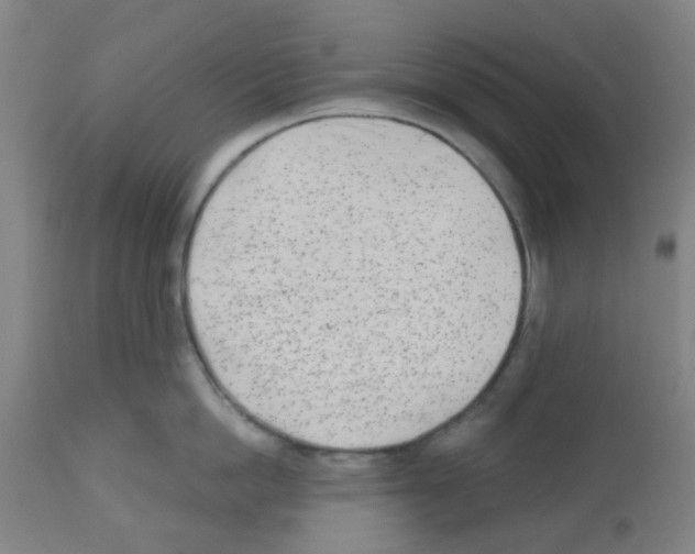 X0000112480862200909281107