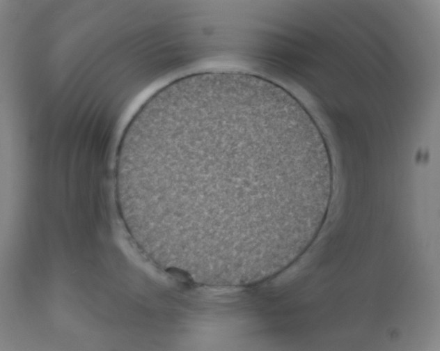 X0000112480864200909281107