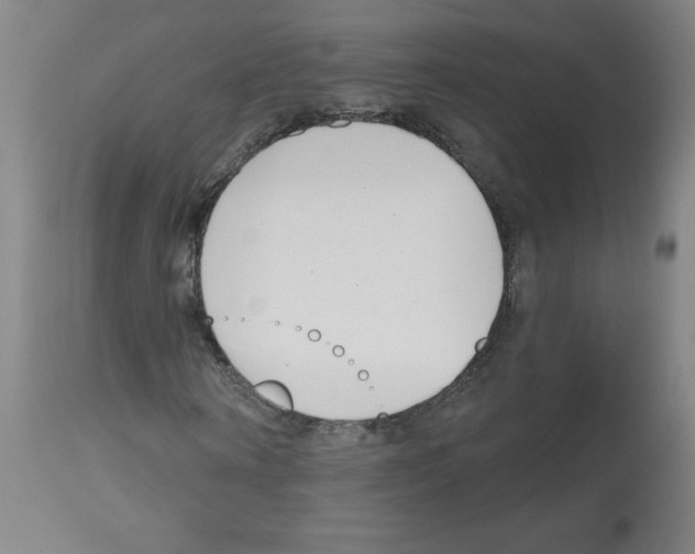 X0000112480866200909281106