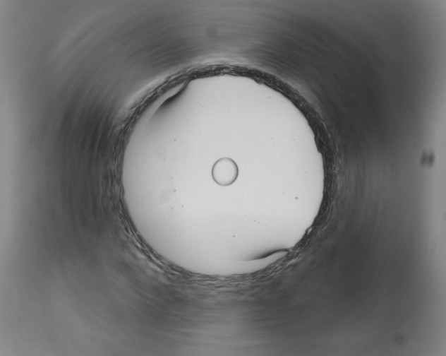 X0000112480872200909281106