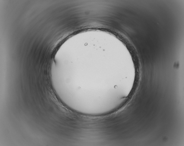 X0000112480873200909281106