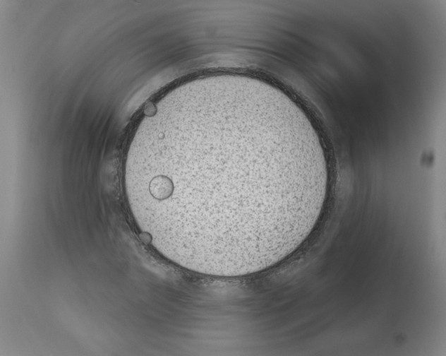 X0000112480874200909281106