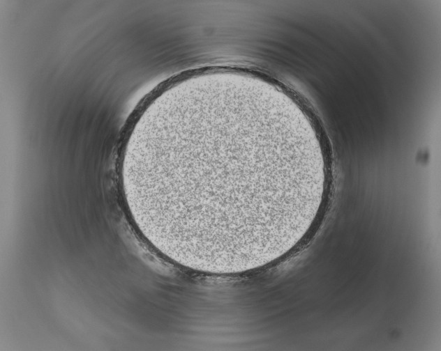 X0000112480875200909281106