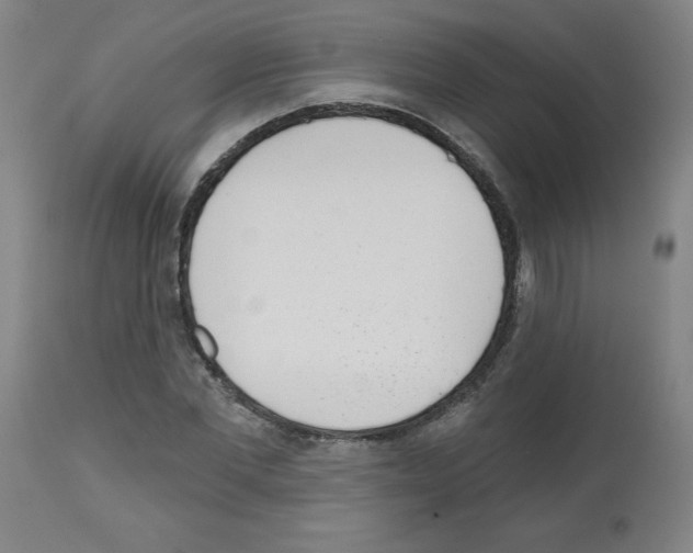 X0000112480877200909281106