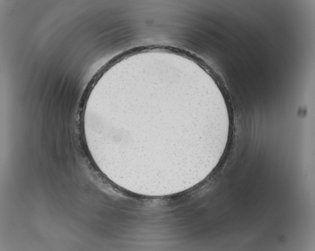 X0000112480879200909281106