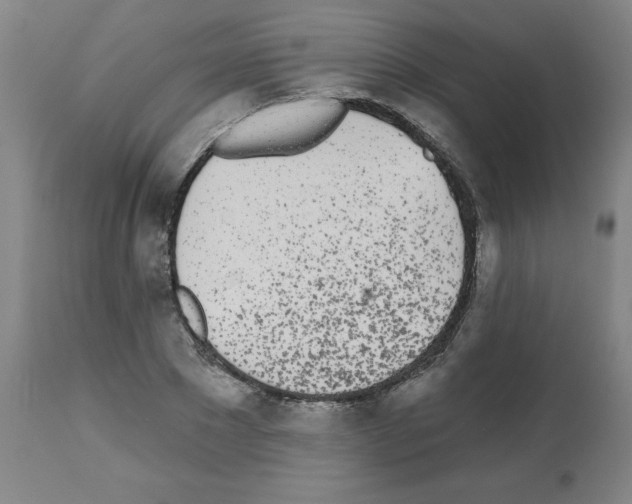 X0000112480881200909281106