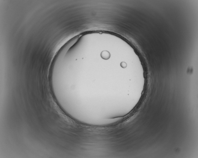 X0000112480885200909281106