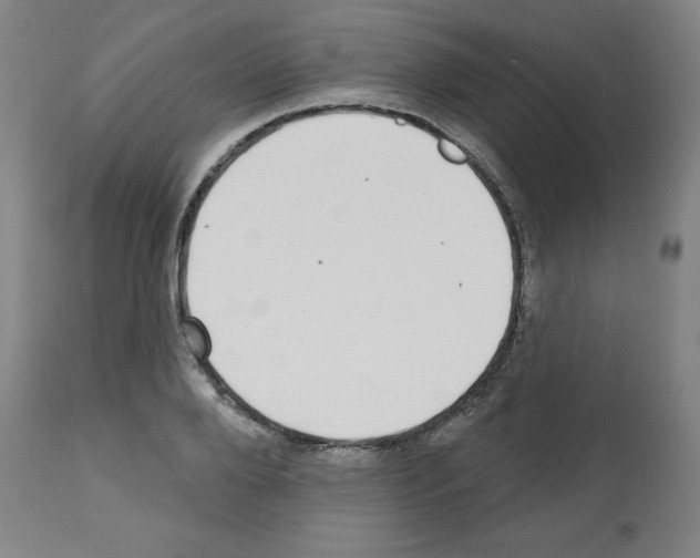 X0000112480888200909281106