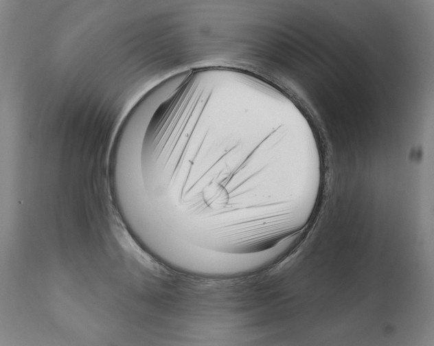 X0000112480892200909281106