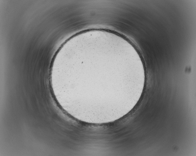 X0000112480895200909281106