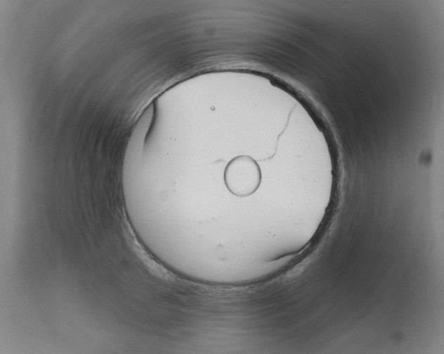 X0000112480897200909281106