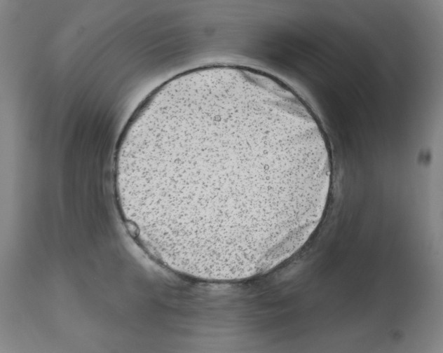 X0000112480903200909281106