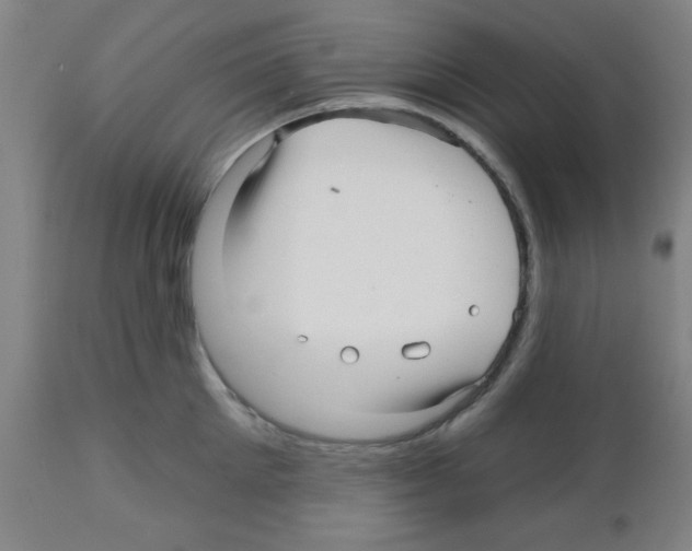 X0000112480905200909281106