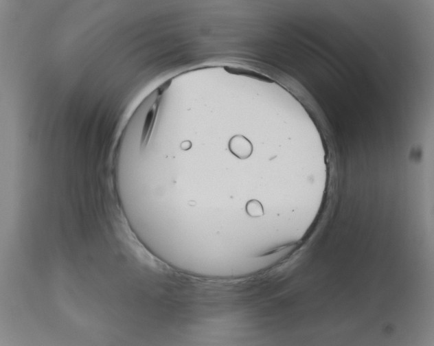 X0000112480908200909281106