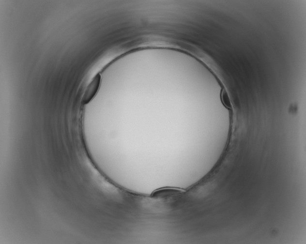 X0000112480909200909281106