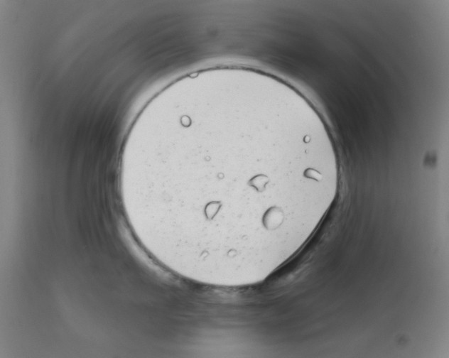 X0000112480911200909281106