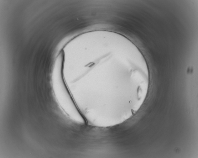 X0000112480912200909281106