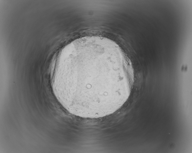 X0000112480913200909281105