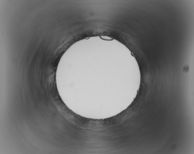 X0000112480914200909281105