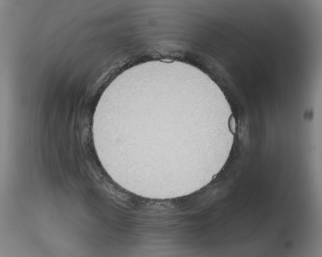 X0000112480915200909281105