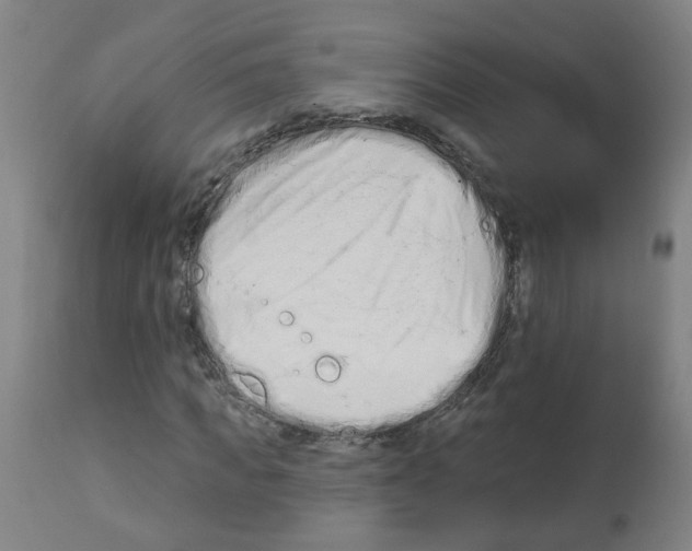 X0000112480917200909281105