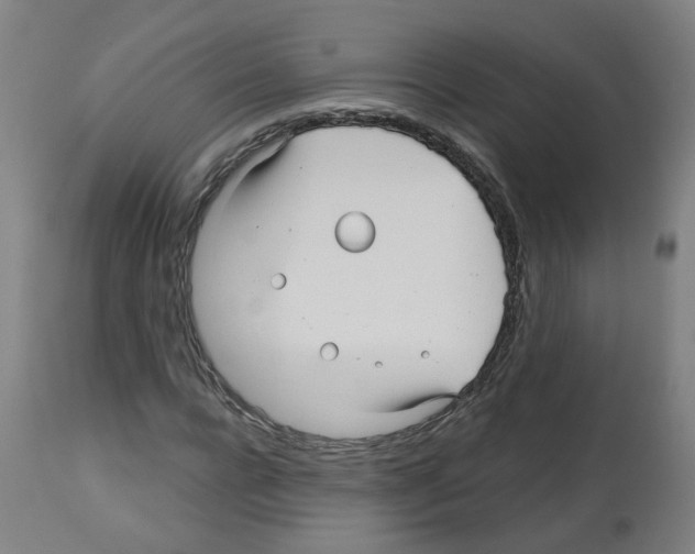 X0000112480920200909281105