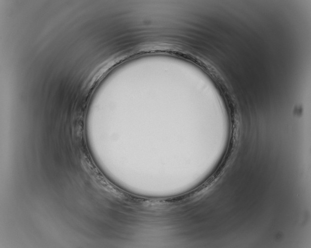 X0000112480921200909281105