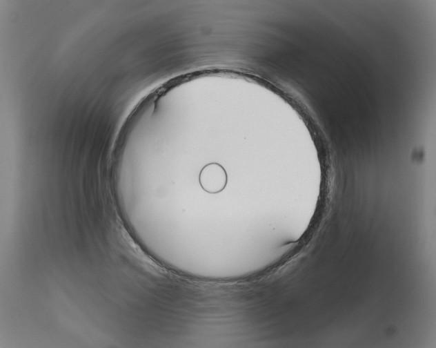 X0000112480924200909281105