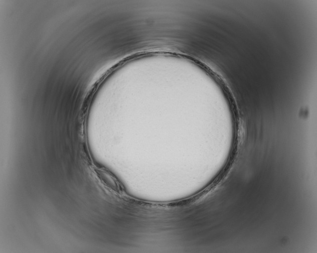 X0000112480925200909281105