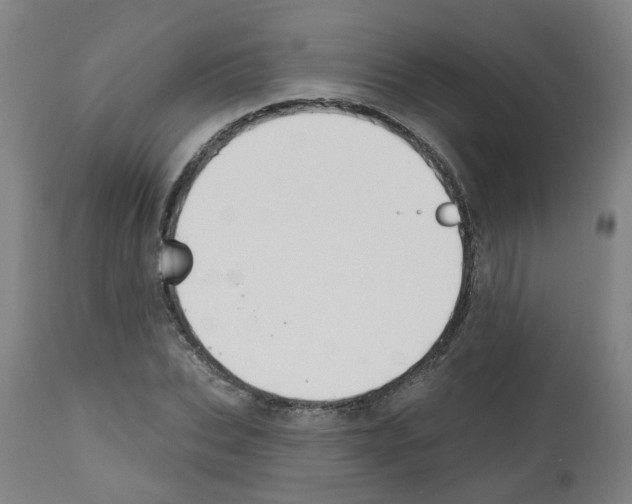 X0000112480927200909281105