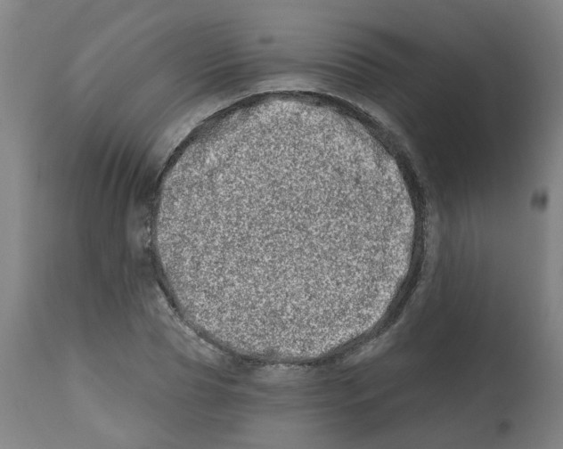 X0000112480929200909281105