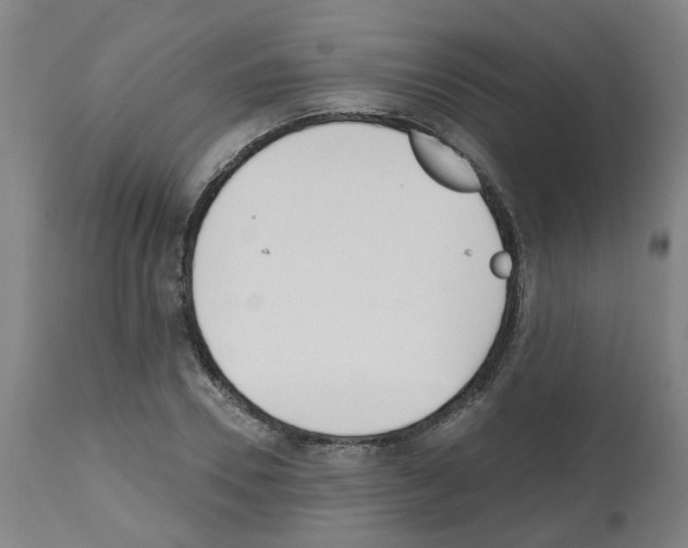 X0000112480930200909281105