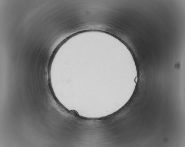 X0000112480936200909281105