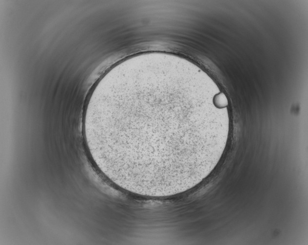 X0000112480938200909281105