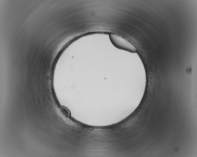 X0000112480942200909281106