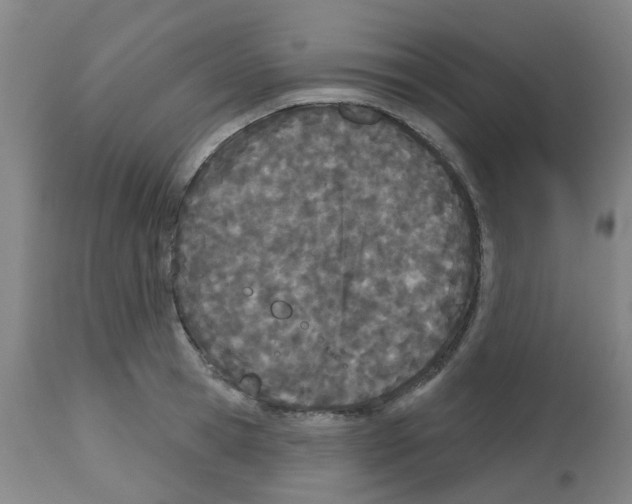 X0000112480945200909281106