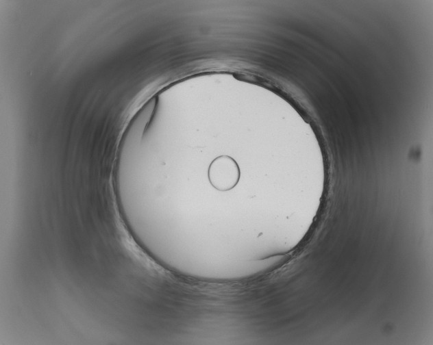 X0000112480946200909281106