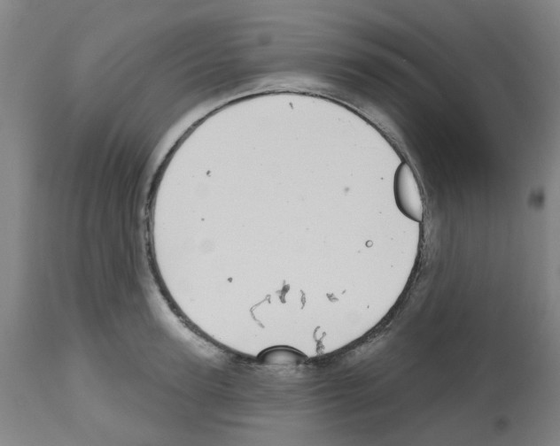 X0000112480947200909281106