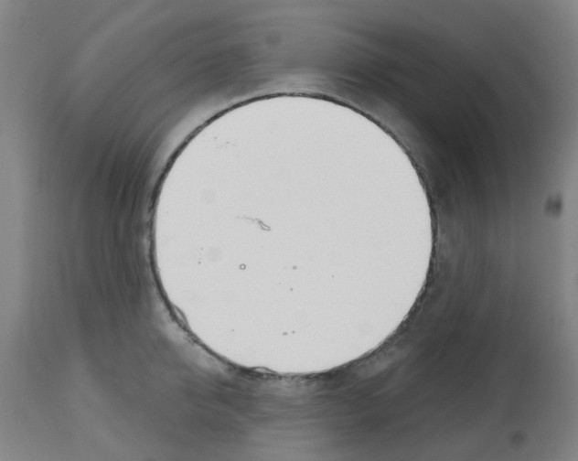 X0000112480950200909281106