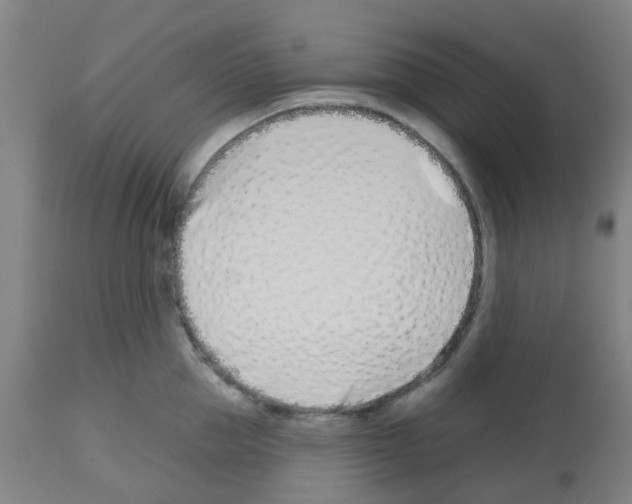 X0000112480953200909281106