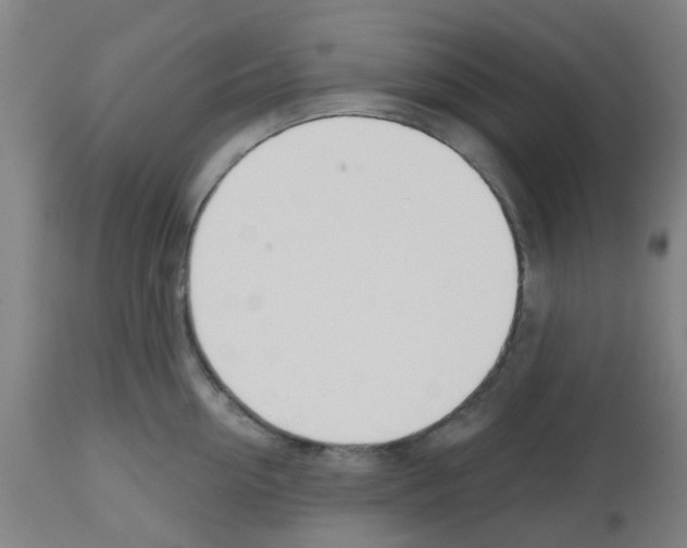 X0000112480954200909281106