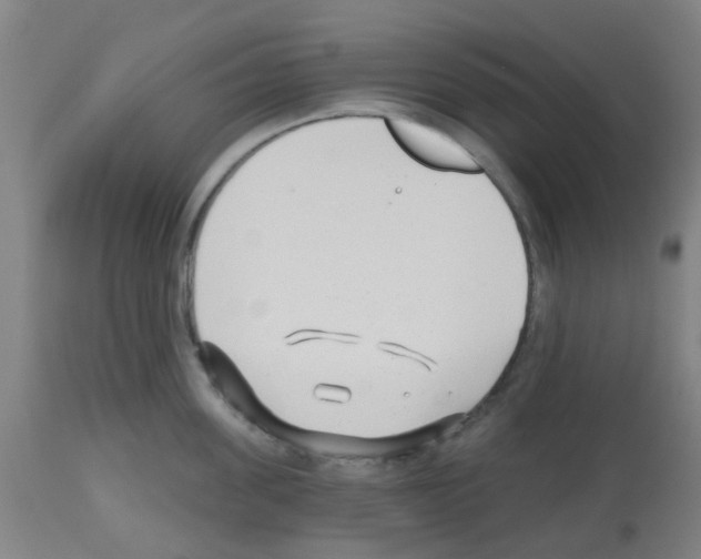 X0000112480955200909281106