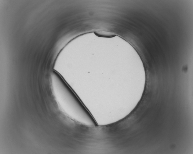 X0000112480956200909281106