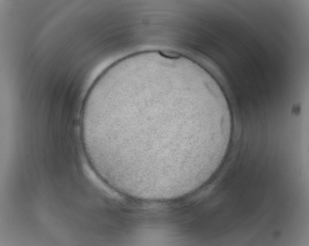 X0000112480958200909281106